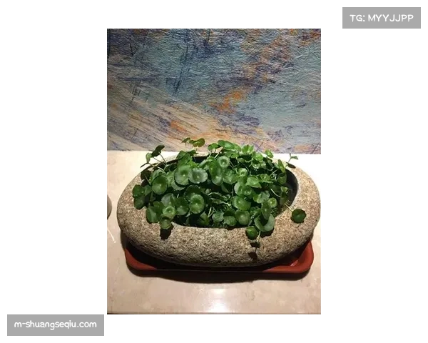 观点分析:量级合并传闻再起,男子蝇量级与雏量级是否面临生存危机?